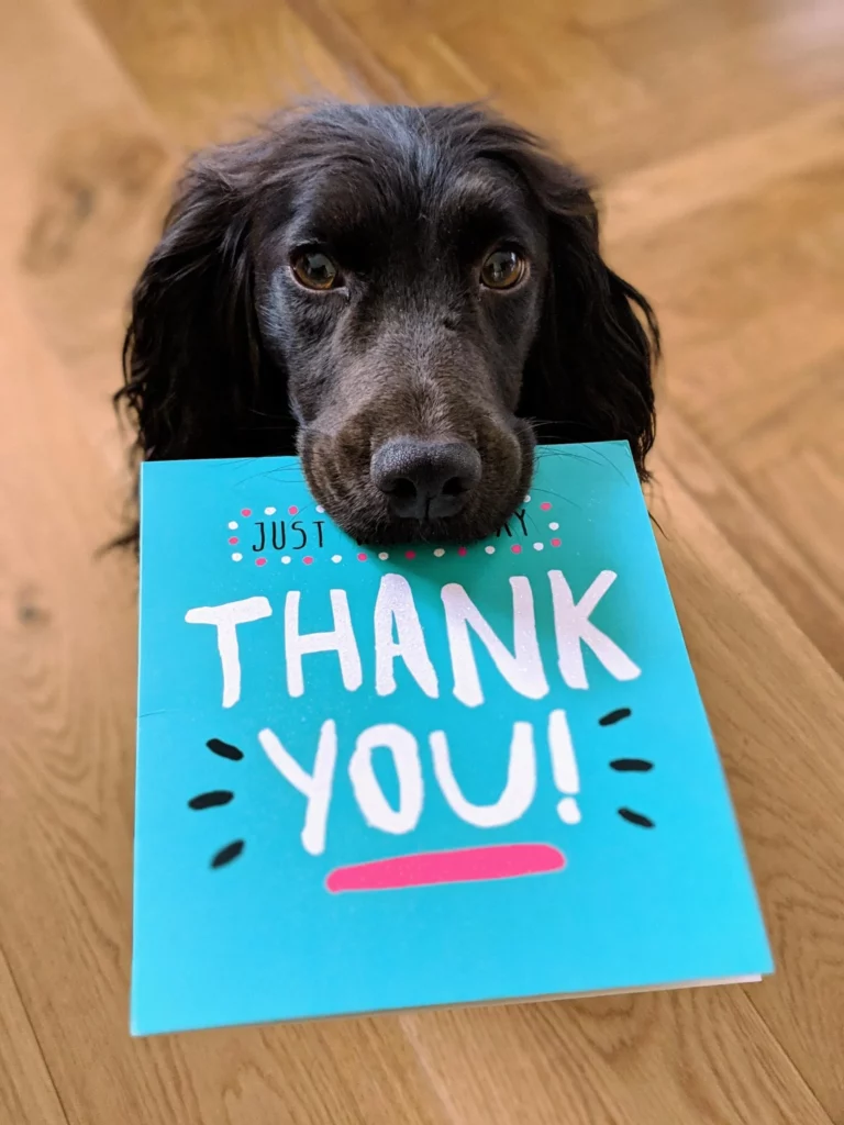 A dog holding a 'Thank You' card