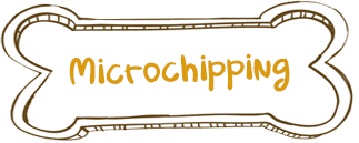Microchipping Vet Service