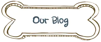 Our Blog