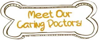 Meet our caring doctors