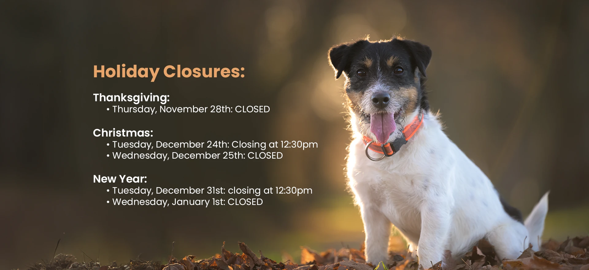 Holiday closures: Thanksgiving - closed November 28th; Christmas - closing at 12:30pm on December 24th, closed December 25th; New Year - closing at 12:30pm on December 31st, closed January 1st.