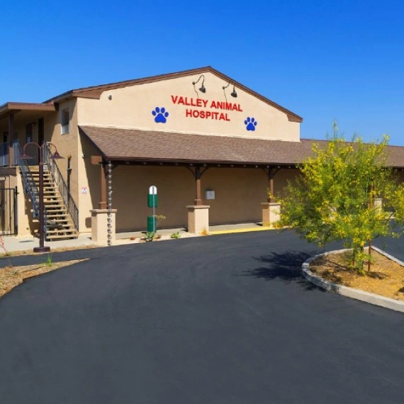 About Us Valley Animal Hospital