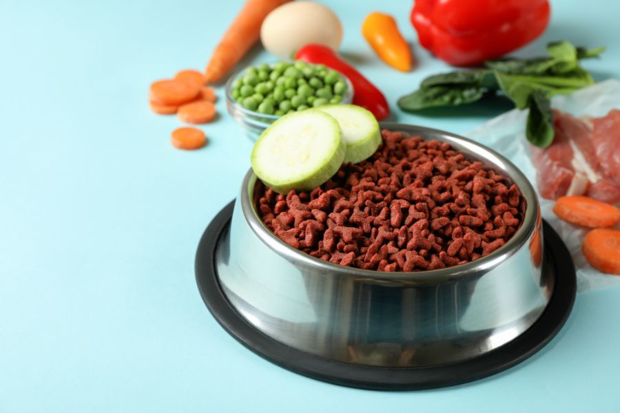 Home-Cooked vs Store-Bought Pet Food