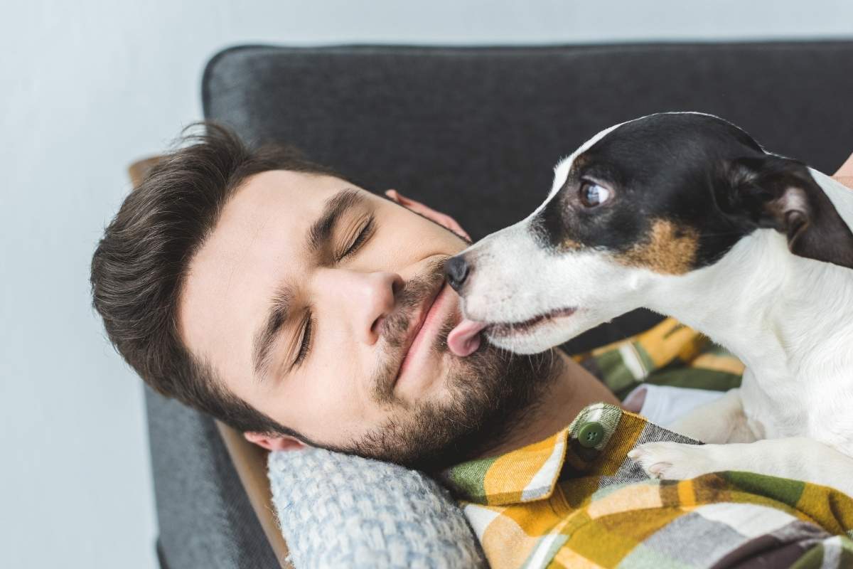 Is It Normal? Understanding Why Dogs Lick Excessively
